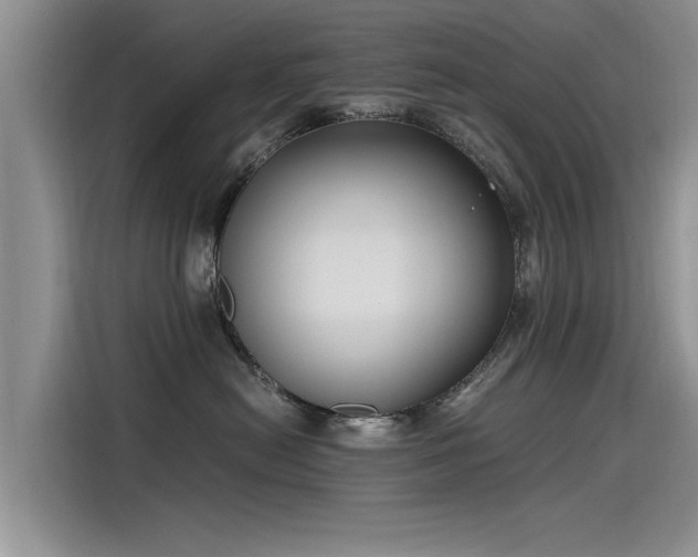 X0000115480478200911131219