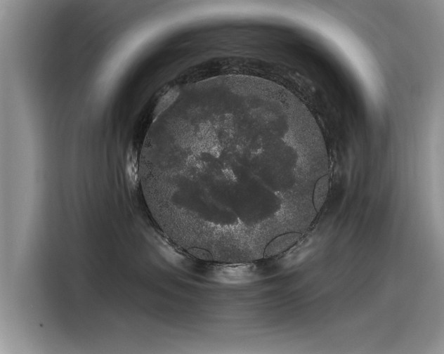 X0000115480479200911131219