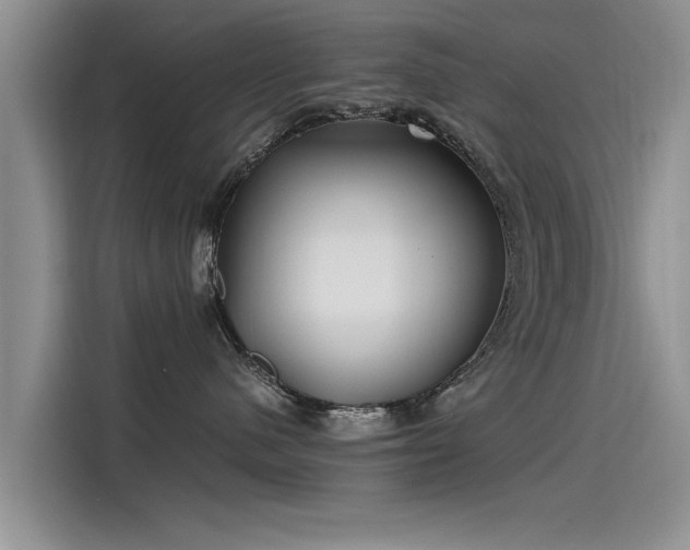 X0000115480480200911131219