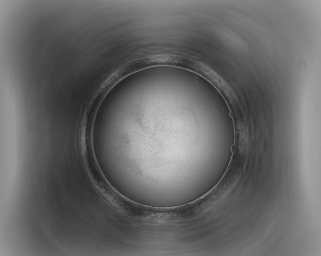 X0000115480482200911131218