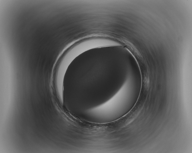 X0000115480484200911131218