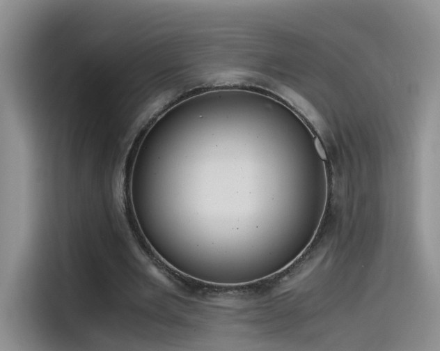 X0000115480485200911131218