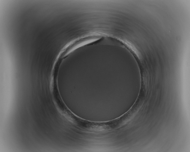 X0000115480488200911131218