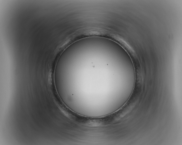 X0000115480489200911131218