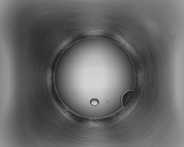 X0000115480490200911131218