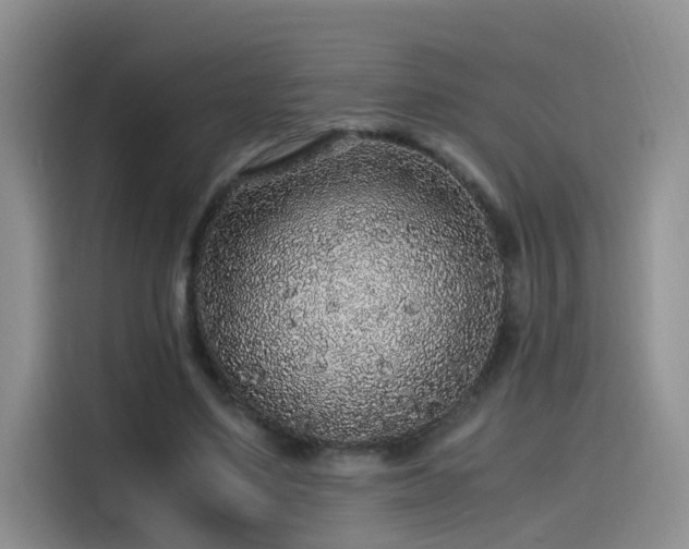 X0000115480491200911131218