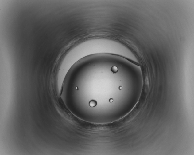 X0000115480492200911131218