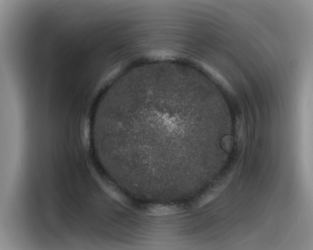 X0000115480494200911131218