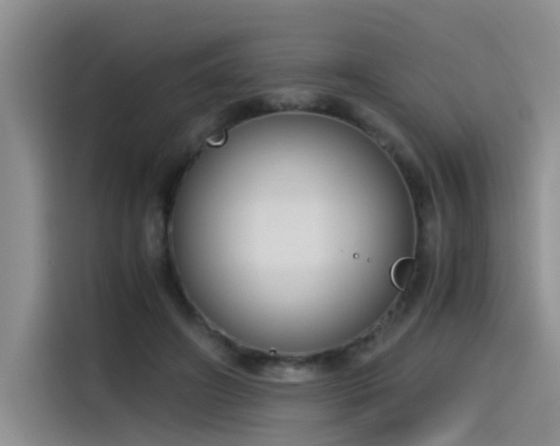 X0000115480498200911131218