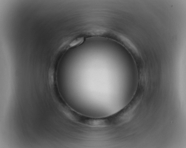 X0000115480501200911131218