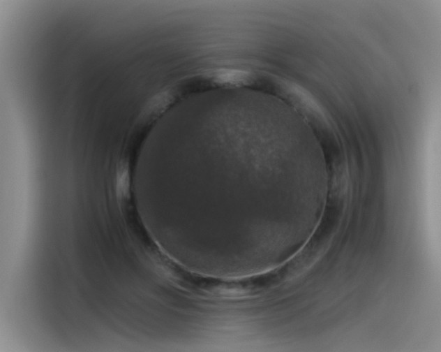 X0000115480502200911131218