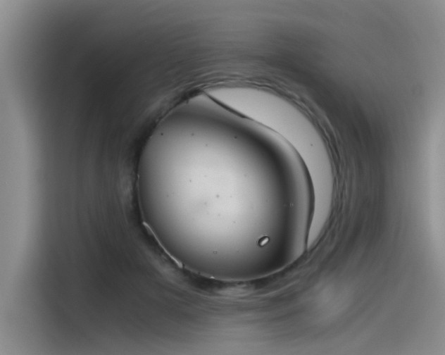 X0000115480505200911131218