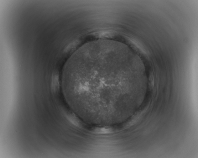 X0000115480506200911131218