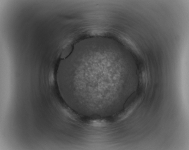 X0000115480508200911131218