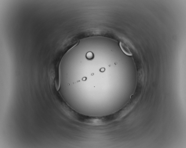 X0000115480509200911131218