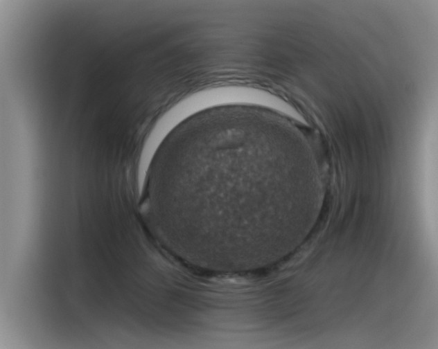 X0000115480512200911131218