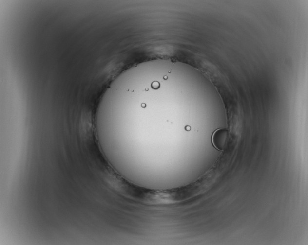 X0000115480518200911131218