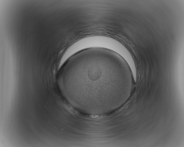 X0000115480520200911131218