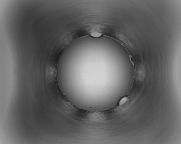 X0000115480521200911131218