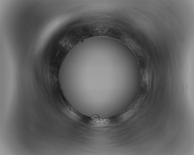 X0000115480526200911131218