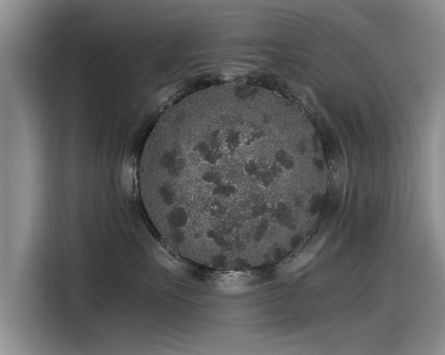 X0000115480527200911131218