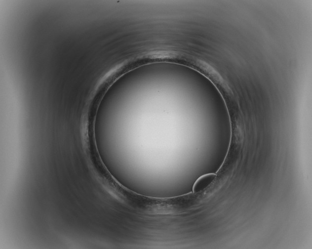 X0000115480535200911131217