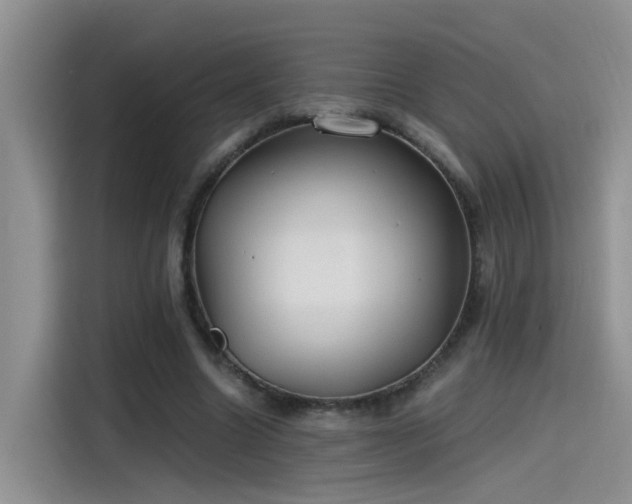 X0000115480538200911131217