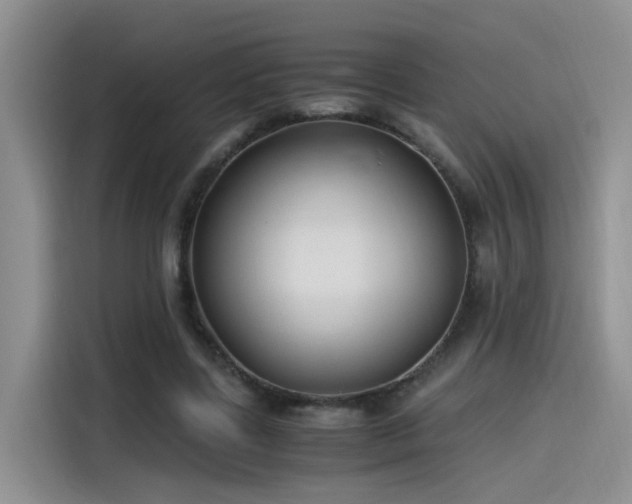 X0000115480539200911131217