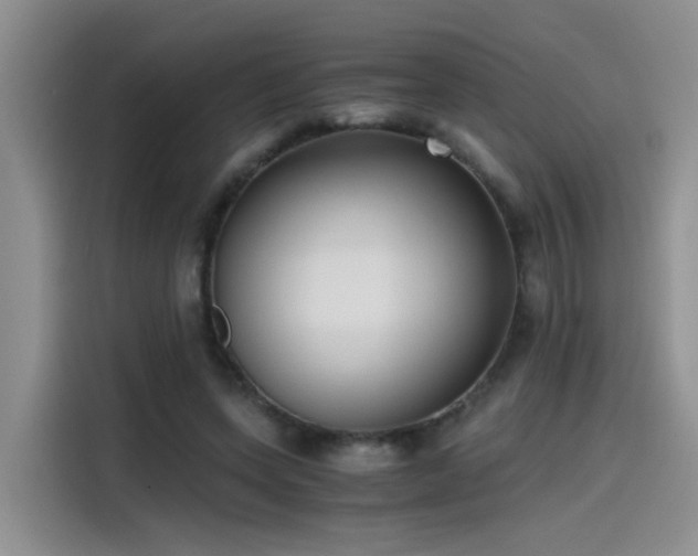 X0000115480543200911131217