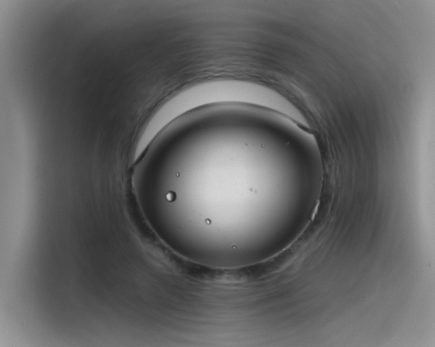 X0000115480546200911131217