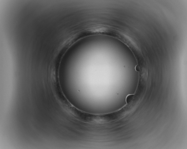 X0000115480547200911131217