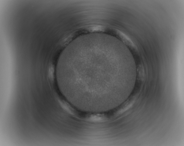 X0000115480550200911131217