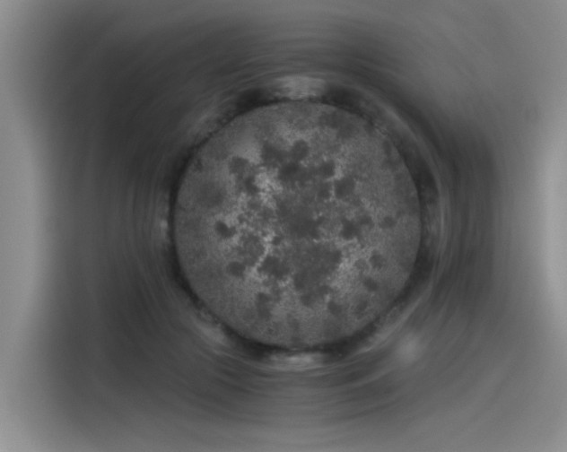 X0000115480553200911131217