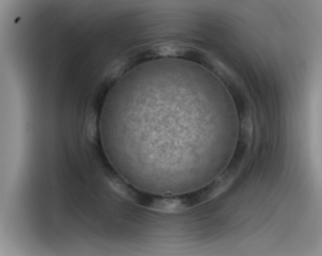 X0000115480554200911131217