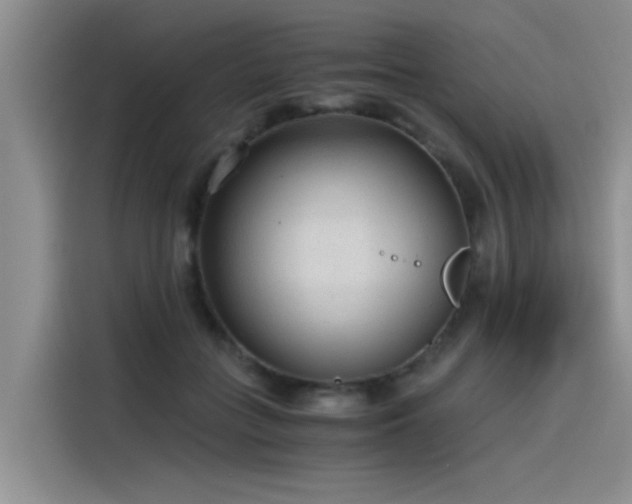 X0000115480555200911131217