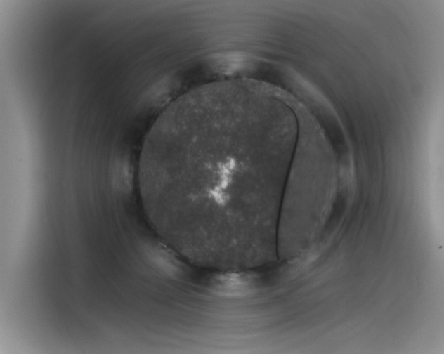 X0000115480558200911131217