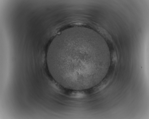 X0000115480559200911131217