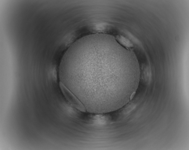 X0000115480562200911131217