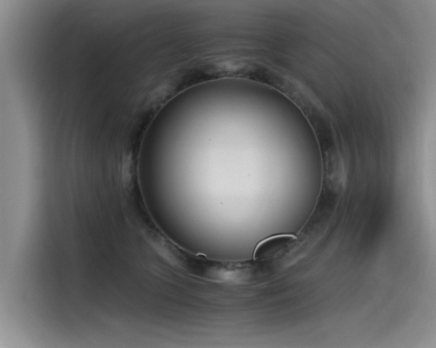 X0000115480563200911131217