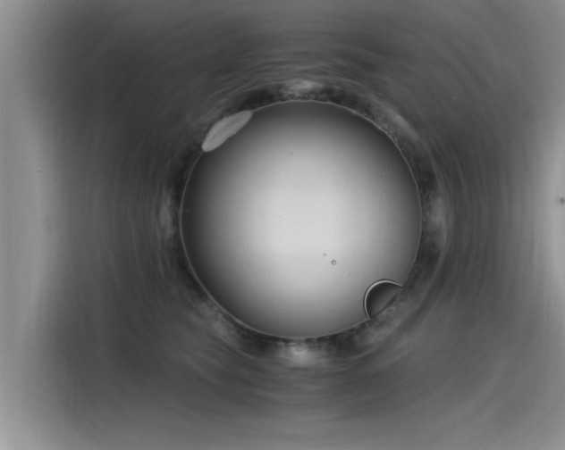 X0000115480565200911131217