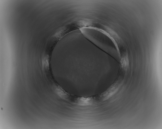 X0000115480570200911131218