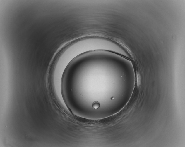 X0000115480579200911131217