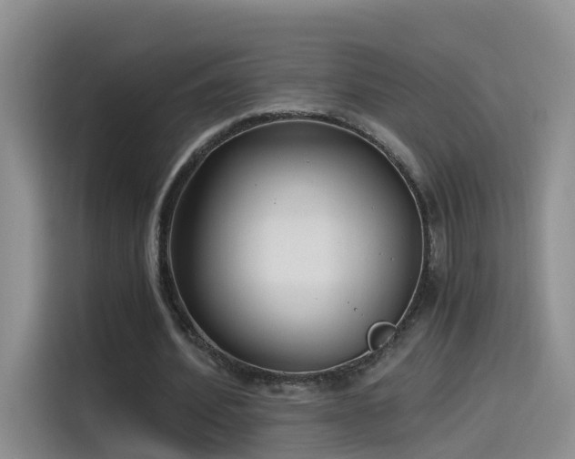 X0000115480580200911131217