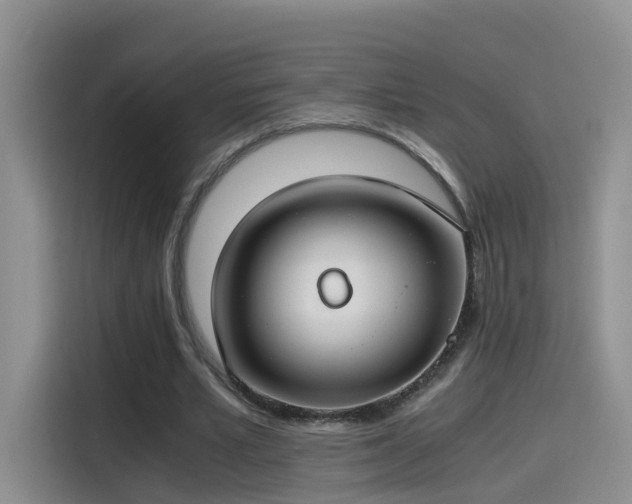 X0000115480581200911131217