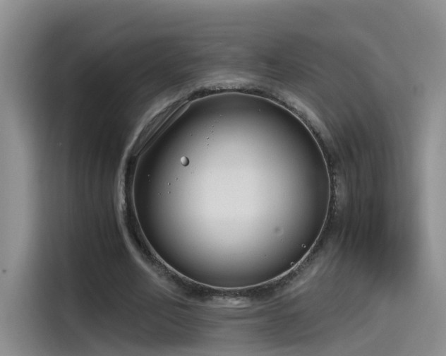 X0000115480582200911131217