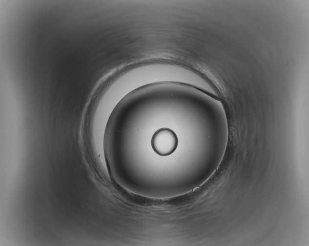 X0000115480583200911131217