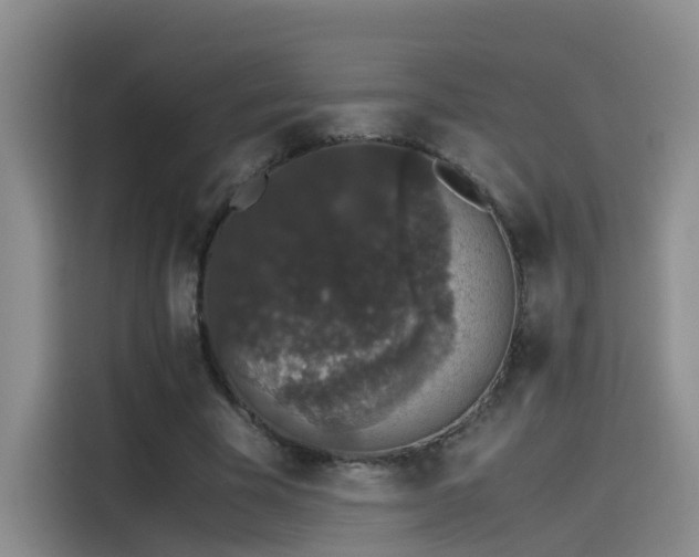 X0000115480585200911131217