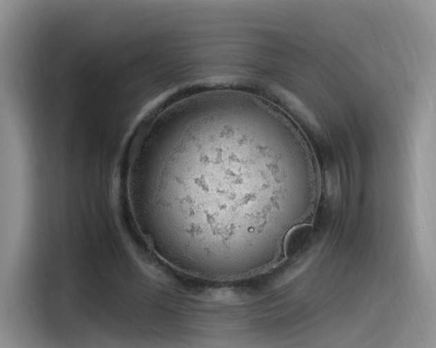 X0000115480588200911131217