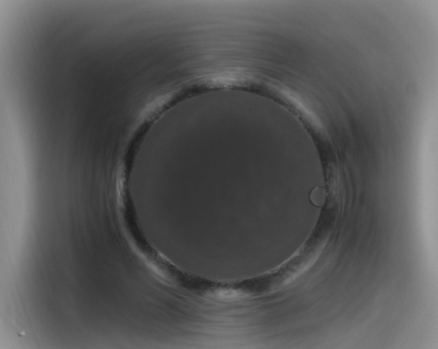 X0000115480590200911131217