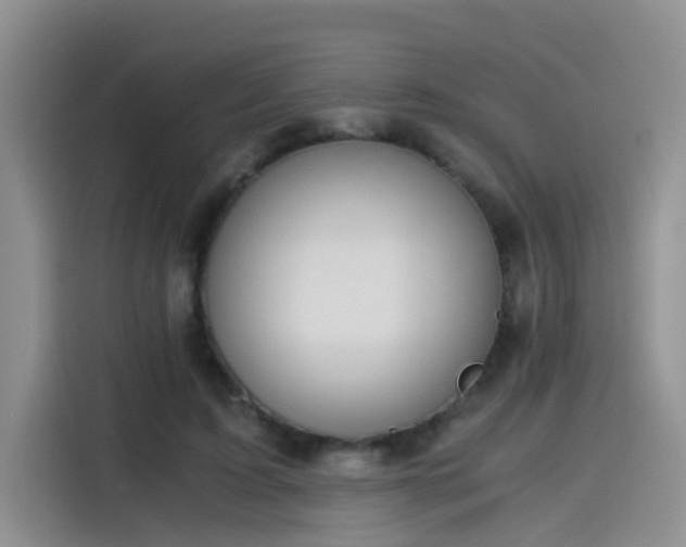 X0000115480595200911131217